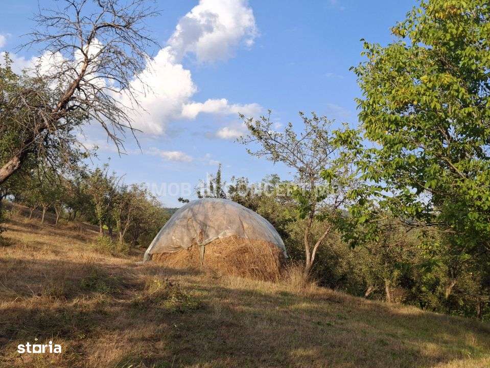 Teren spectaculos cu padure, livada si priveliste panoramica in Soimar-7
