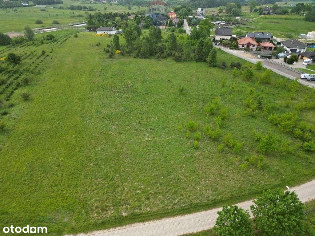 Działka, 1 205 m², Niewierowo - Pełny obrazek: 4/10