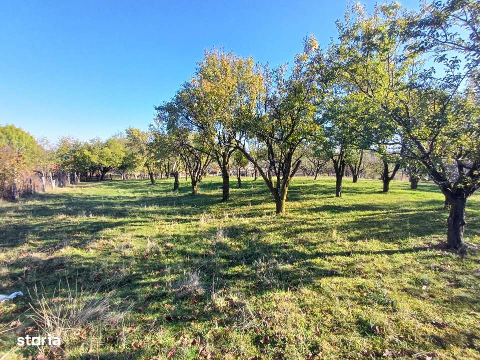 Parcelele cu cele mai bune preturi din judet-2