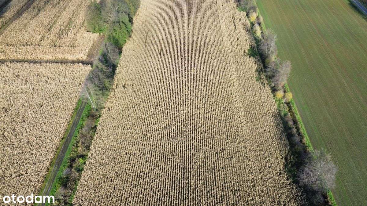 3195m2*3058m2*12minut do Torunia-12