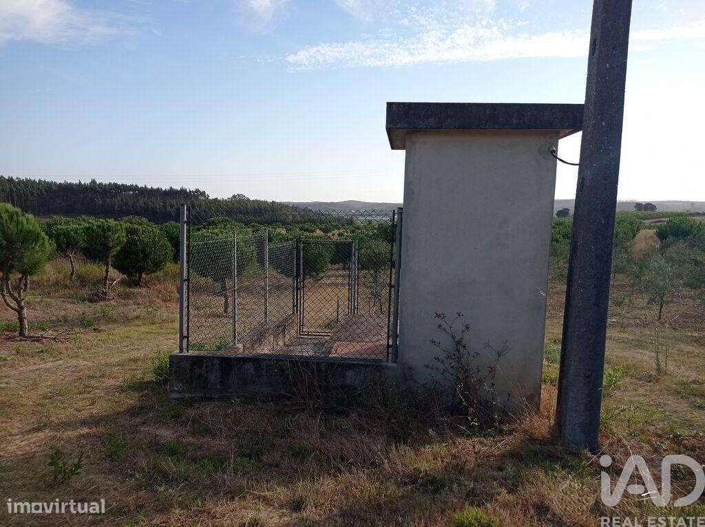 Terreno para construção em Cadaval e Pêro Moniz de 10000,00 m2 - Grande imagem: 4/30