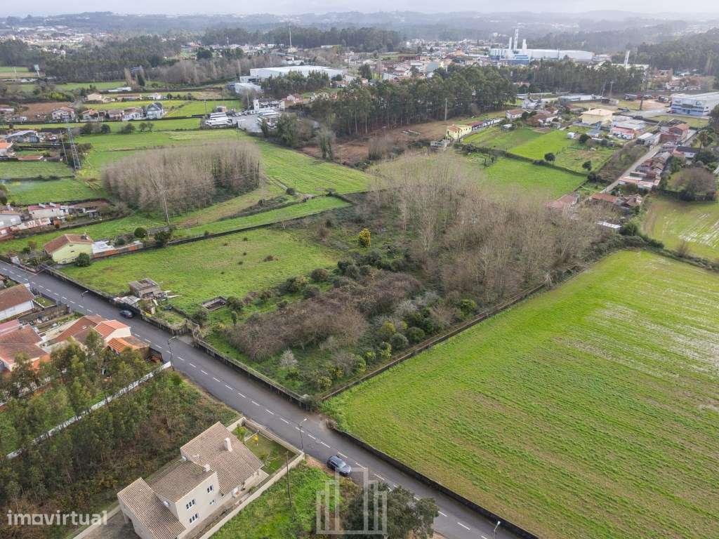 Terreno rústico - S. Miguel do Souto - Grande imagem: 3/6