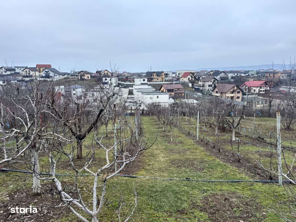 Spatiu, intimitate si verdeata langa Pitesti - Geamana | 2 case, teren-15