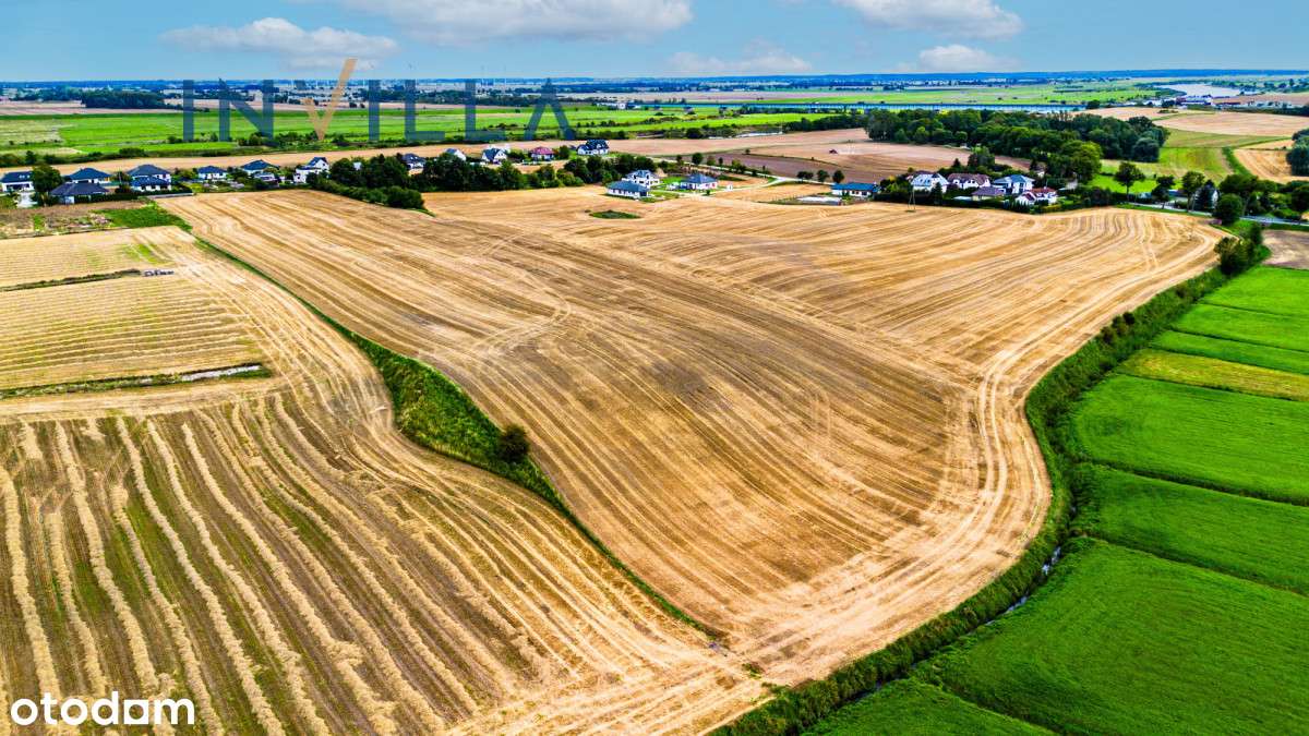 Działki budowlane w Bałdowie - Pełny obrazek: 4/9