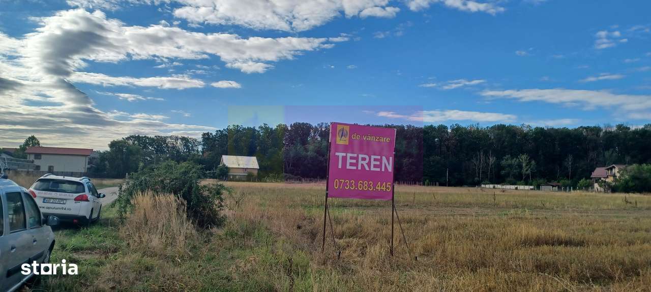 Gulia teren 11.157 mp, lângă Pădurea Cereanca - Imagine principală: 2/4