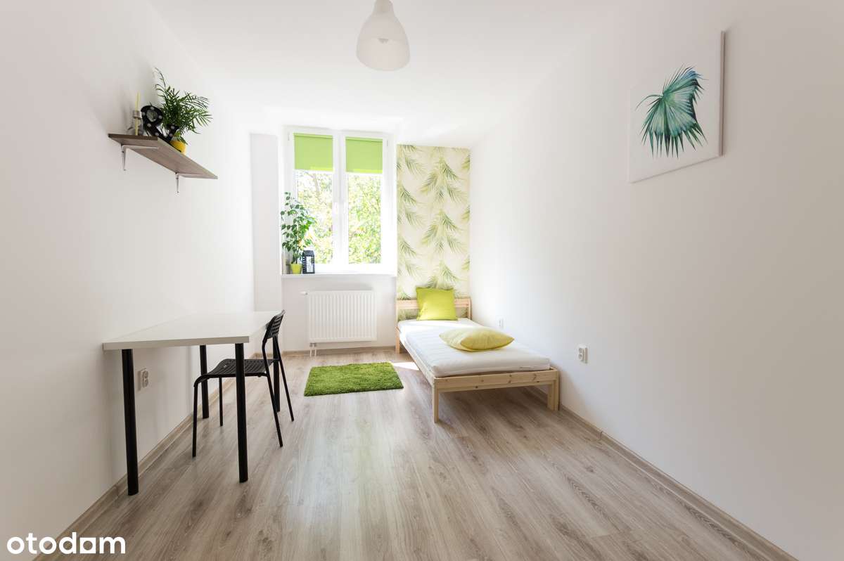 Hallera okolice CH Borek-0