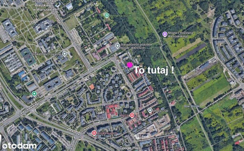 3 pokoje z tarasem przy Skarpie od Zaraz-2