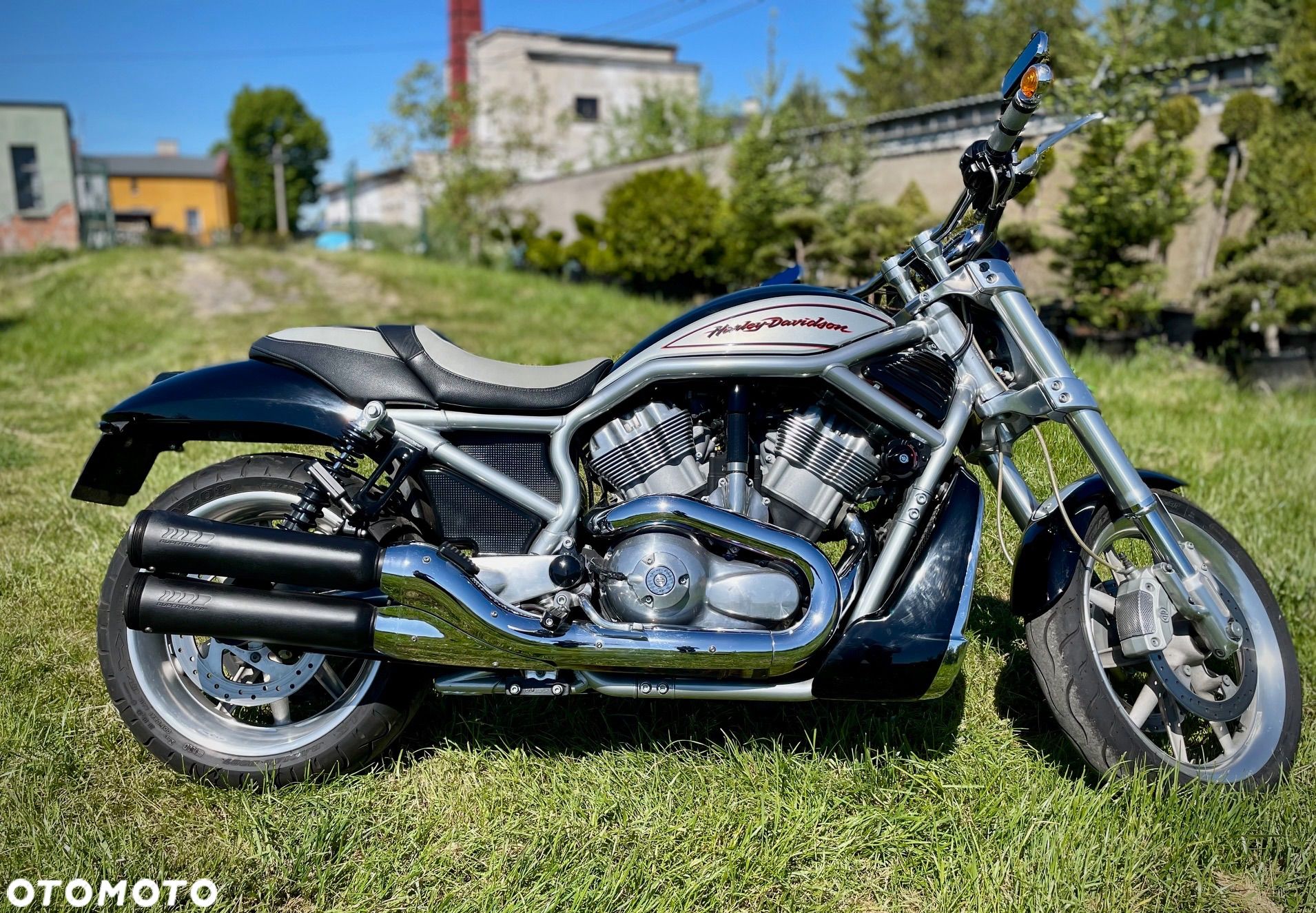Harley-Davidson V-Rod Street Rod - 1