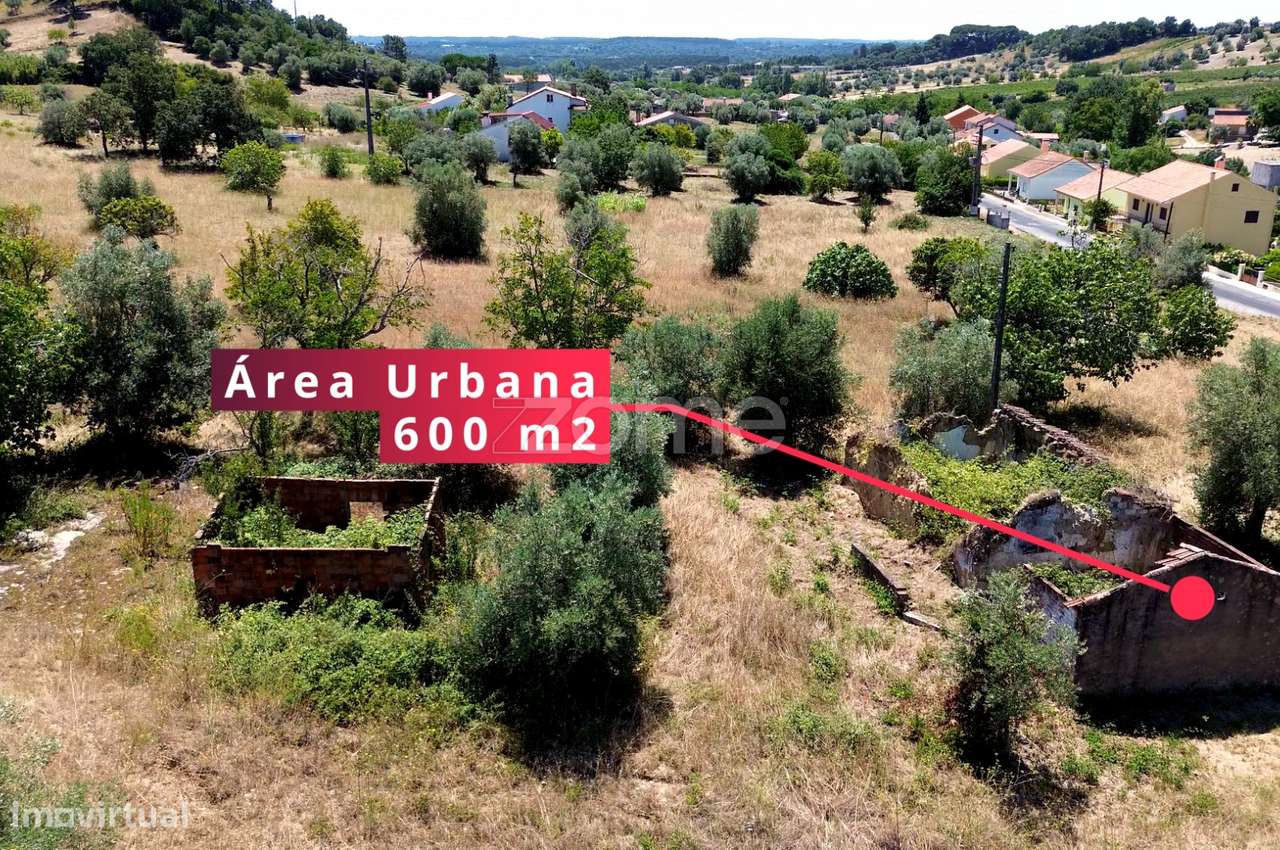 Terreno misto com 3,8 hectares em Tomar - Grande imagem: 5/24