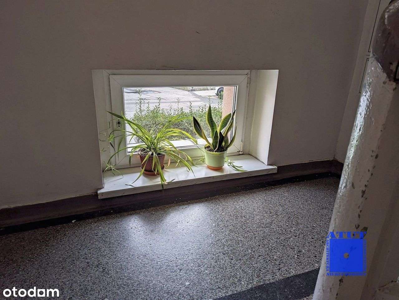 Gliwice, Politechnika, Lutycka, Pszczyńska-6