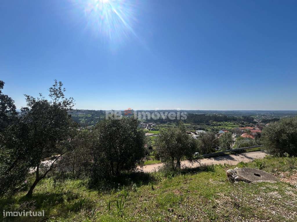 Casa de campo para recuperar - Pena, Torres Novas - Grande imagem: 5/20