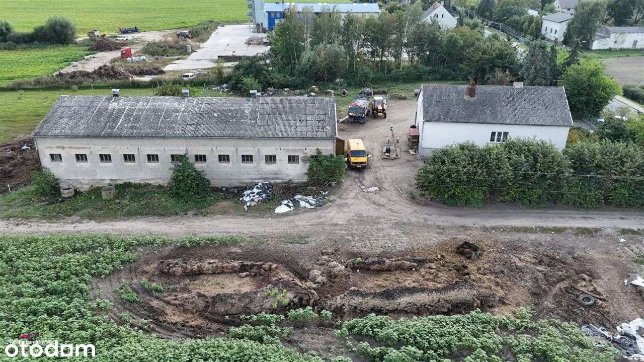 siedlisko Zelgno- Bezdół - Pełny obrazek: 4/10