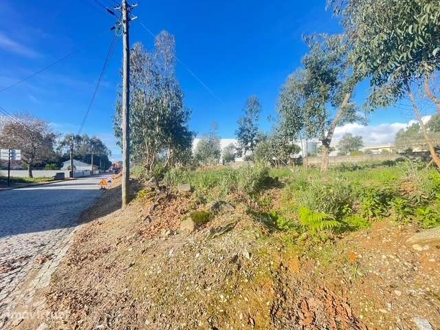 Terreno com 733m2, localizado próximo do Centro de Canelas! - Grande imagem: 3/12