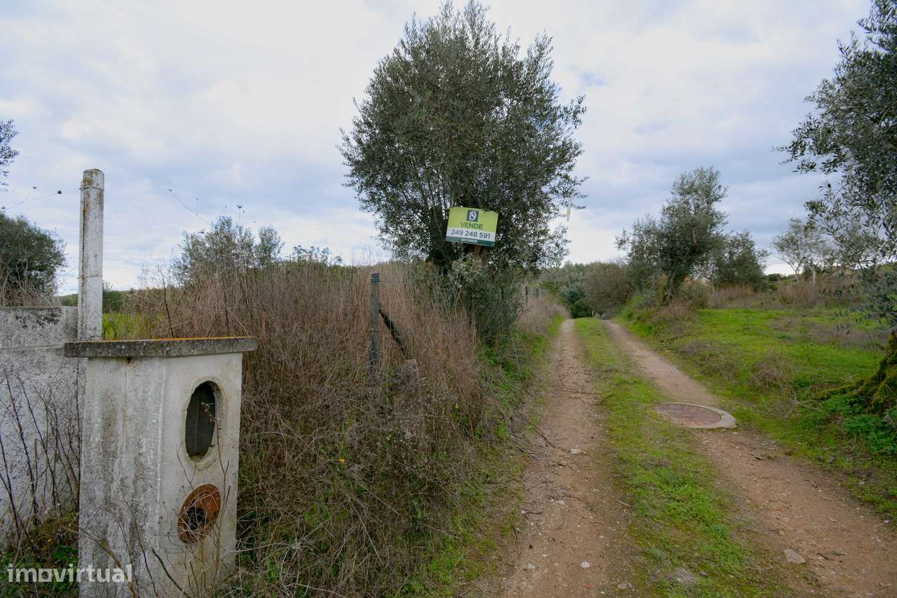 Terreno  Venda em Asseiceira,Tomar-8