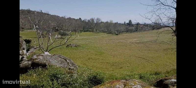 Terreno com 1,6h e viabilidade de construção apoio agricola - Grande imagem: 5/11