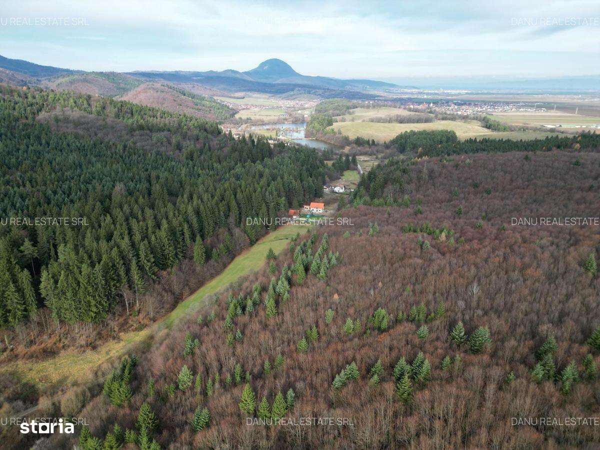 Teren intravilan2000mp în Vulcan BV–Oază de liniște -pădure si lacuri-3