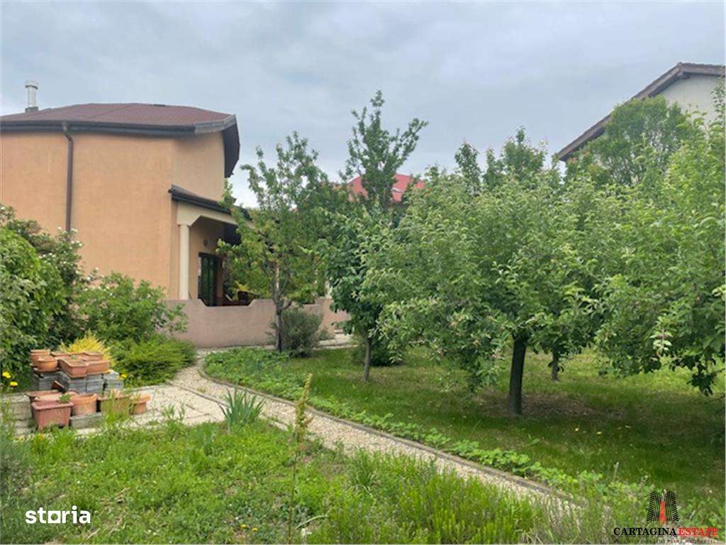 VILA INDIVIDUALA  P+1  PIPERA  DRUMUL BISERICII  1350MP TEREN-2