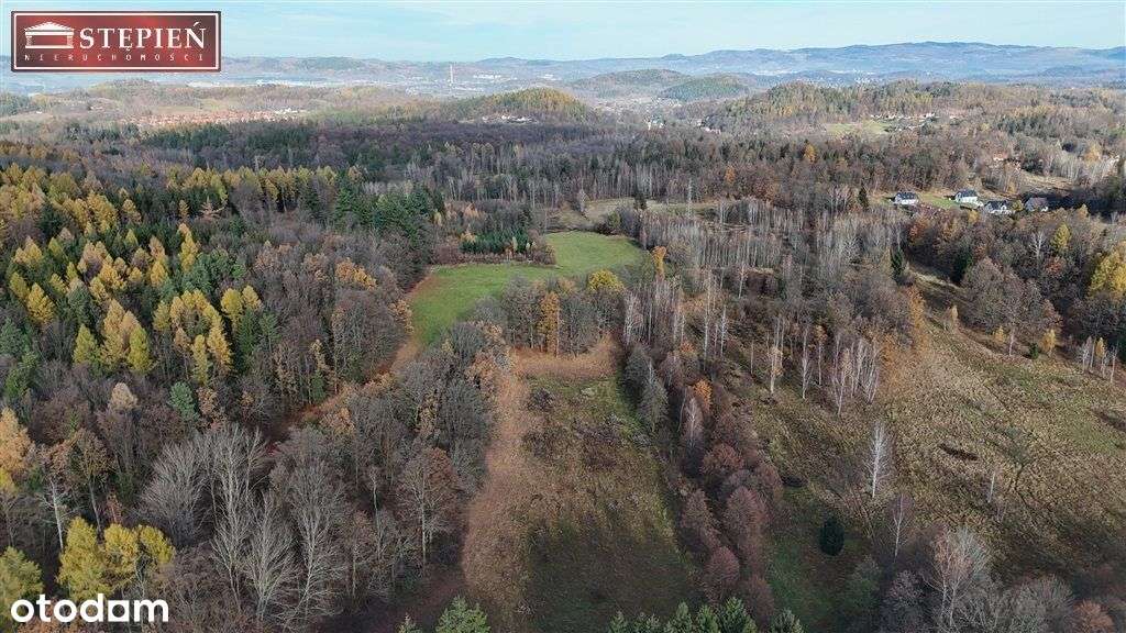 Działka budowlana – 1,11 ha | Staniszów - Pełny obrazek: 4/11