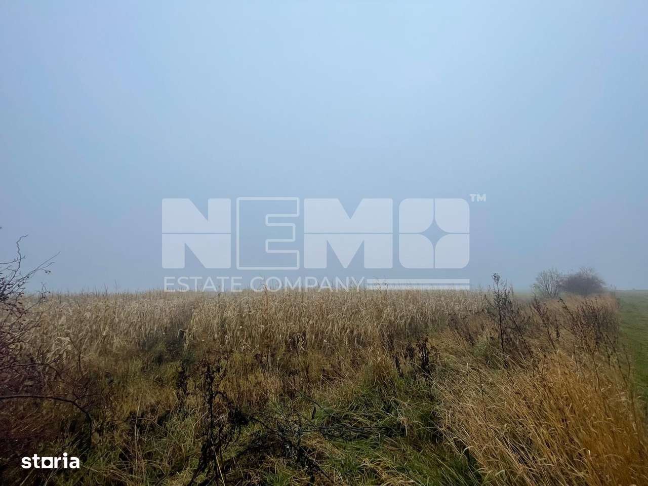 TEREN EXTRAVILAN | DOUA PARCELE 2.84 HA| IDEAL AGRICOL | DARMANESTI - Imagine principală: 2/20