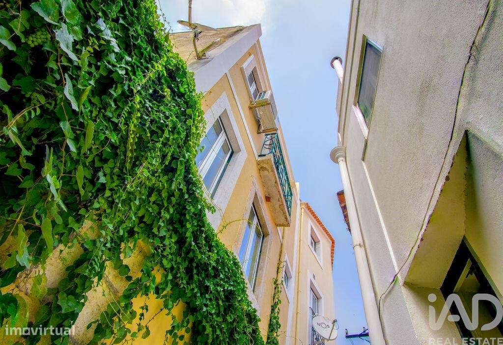 Prédio T4 em Santa Maria Maior de 199,00 m2 - Grande imagem: 3/22