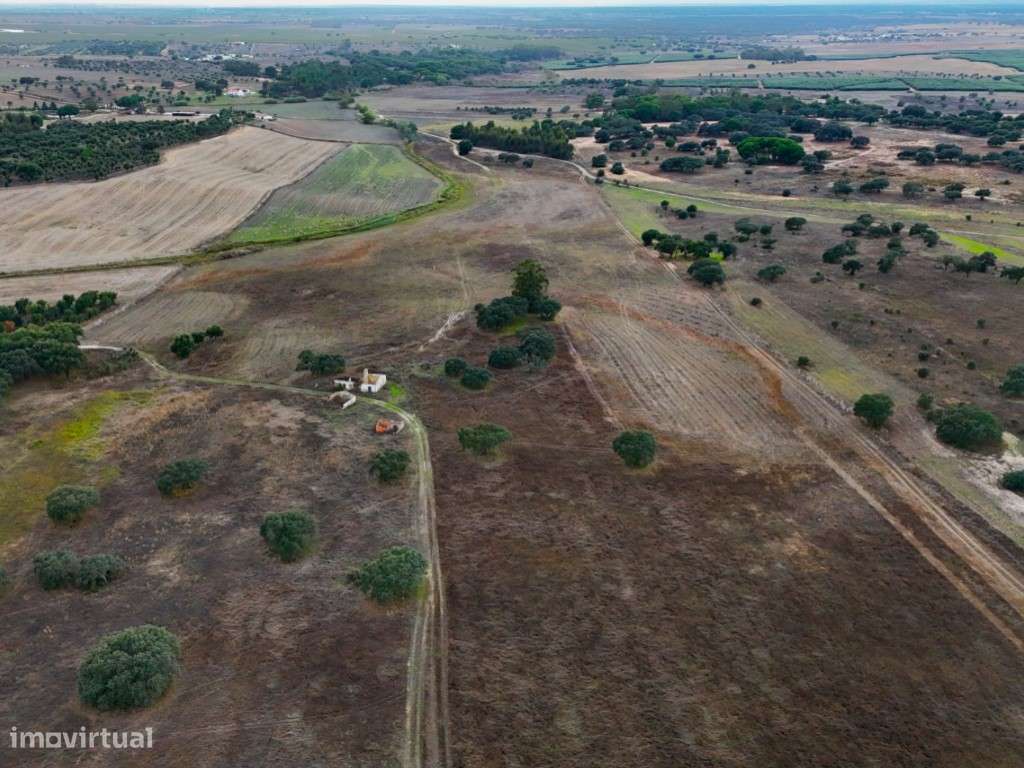 TERRENO DE 22,45 HA COM RUÍNA DE 240 M² PARA RECUPERAÇÃO EM FERREIR...-7