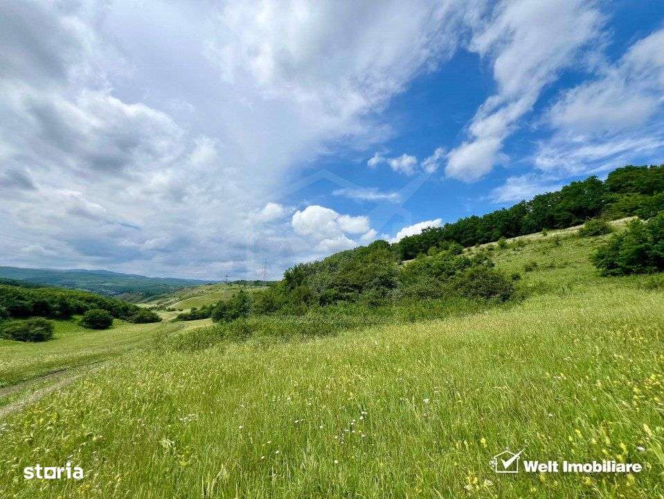 Oportunitate investitie, teren cu panorama pentru cabane - Imagine principală: 2/7