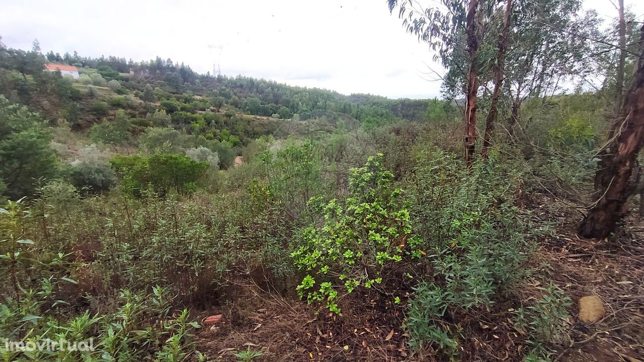 Terreno  para venda