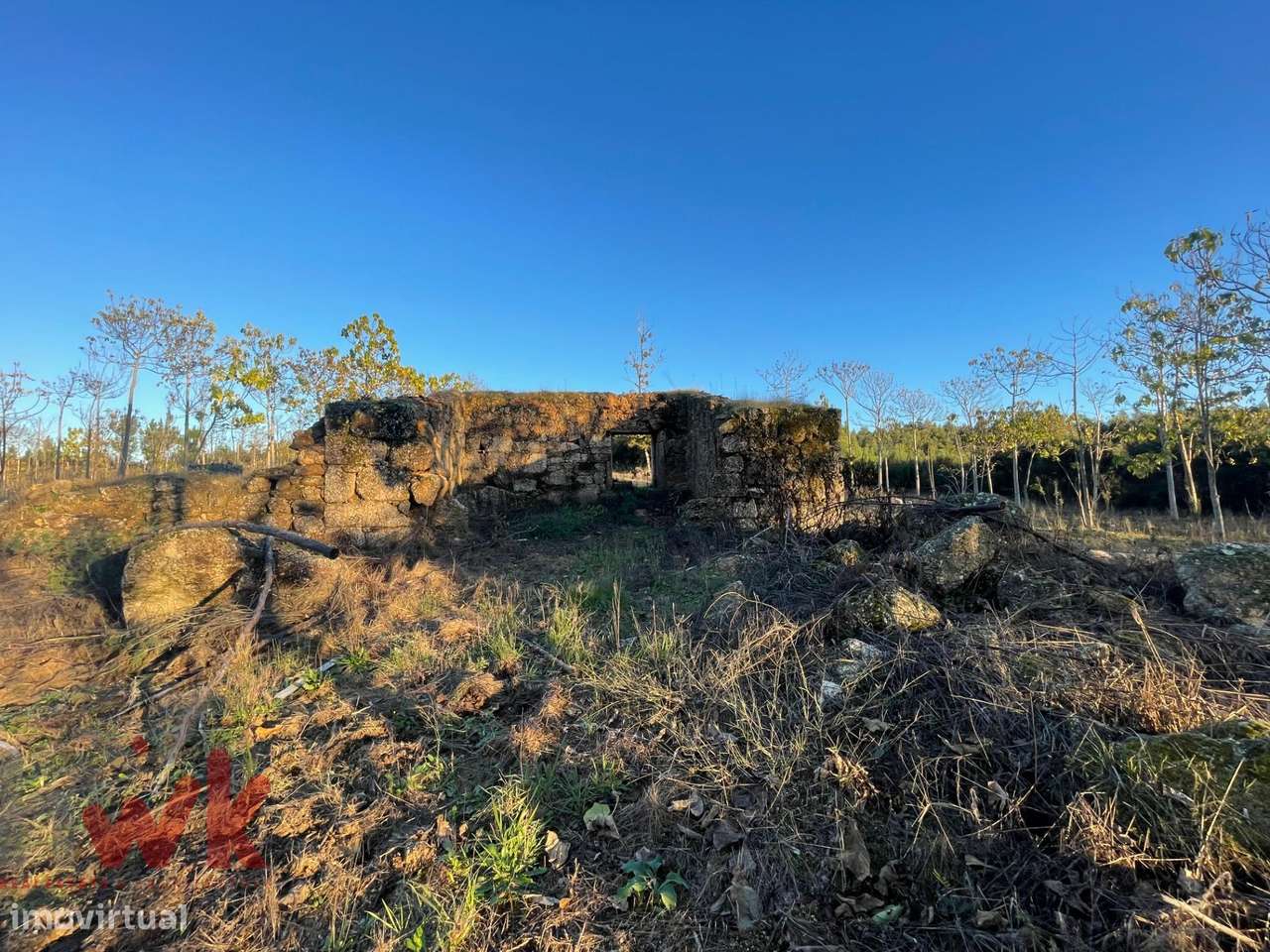Terreno Rústico 10.800 m2 – Plano, Com Ruína e Excelentes Acessos - Grande imagem: 5/12