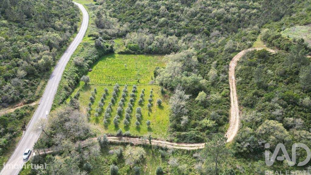 Terreno Agrícola em Podentes - Grande imagem: 4/18