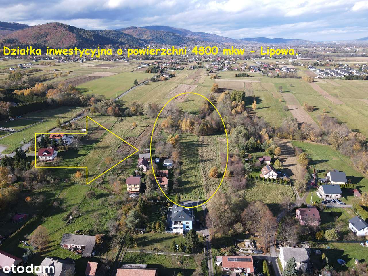 Na sprzedaż działka inwestycyjna z potencjałem 4800 mkw w Lipowej. - Pełny obrazek: 1/20