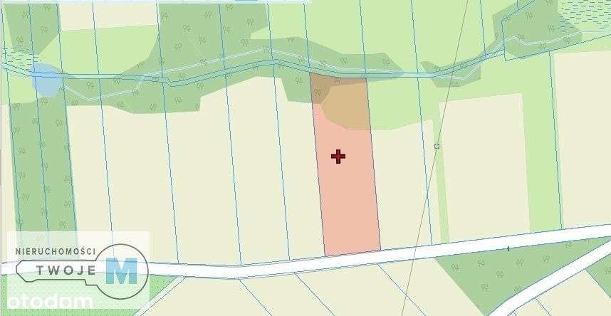 Działki rolne z lasem w Śladkowie Dużym - Pełny obrazek: 5/13