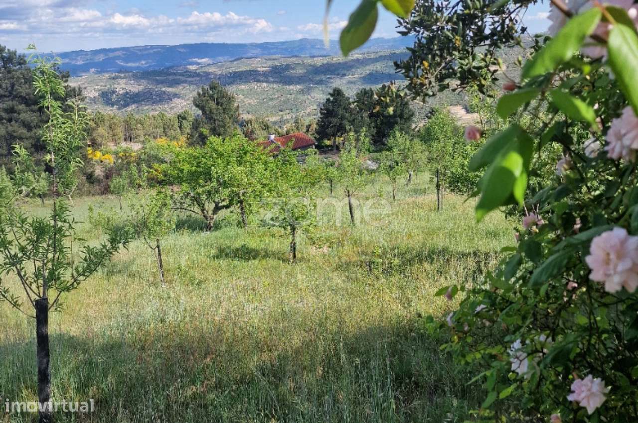 VENDA DE DOIS PRÉDIOS RÚSTICOS – Pegarinhos , Alijo - Grande imagem: 3/30