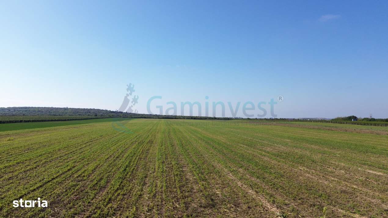 Teren intravilan de vanzare, langa Oradea, Bihor, Gaminvest, V4117 - Imagine principală: 5/15