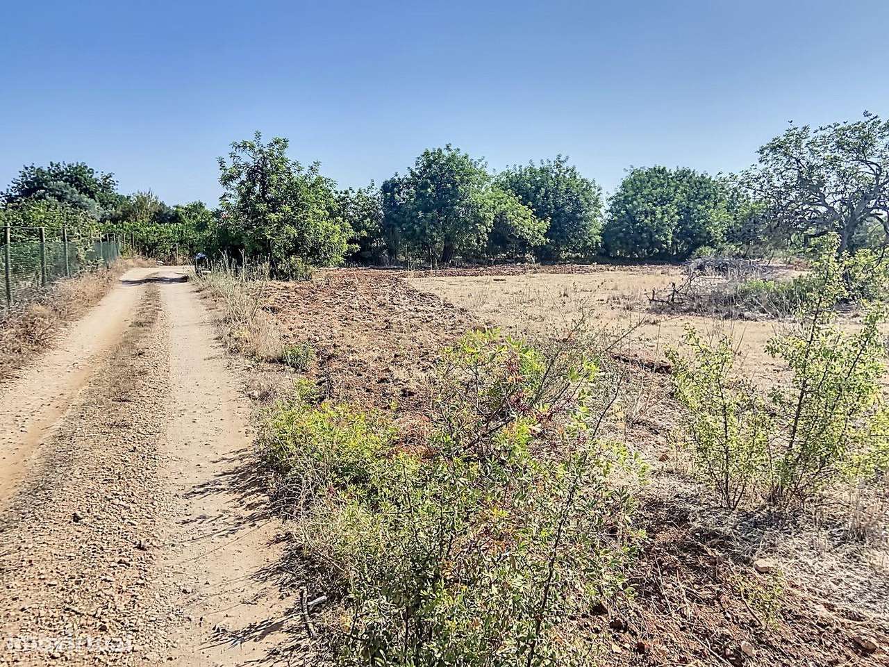 Terreno Rústico 12.000m2 - Falfosa, Santa Bárbara de Nexe - Grande imagem: 3/9