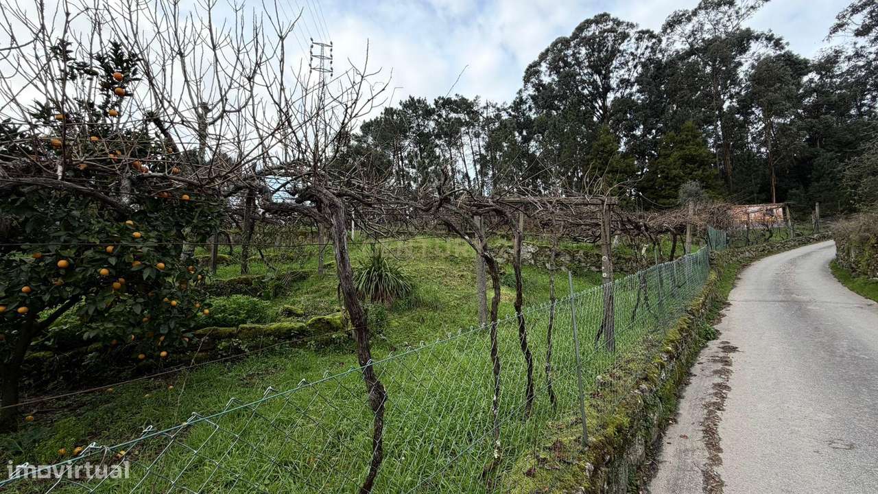 Moradia V3 - Termas de S. Vicente, Penafiel-30