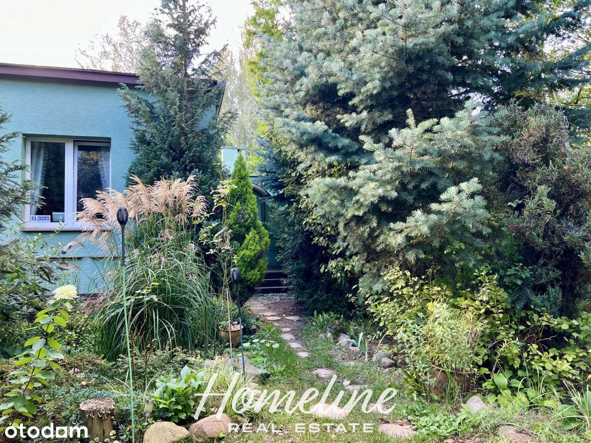 Wyjątkowy dom szeregowy w Pawłowicach-1