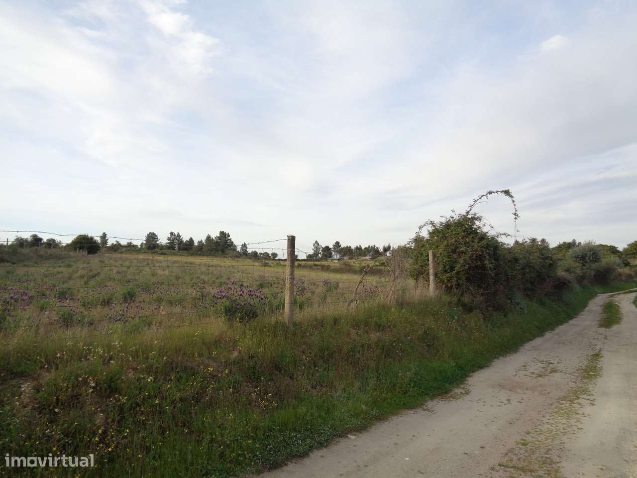 Terreno em Idanha-a-Nova, São Miguel de Acha-8