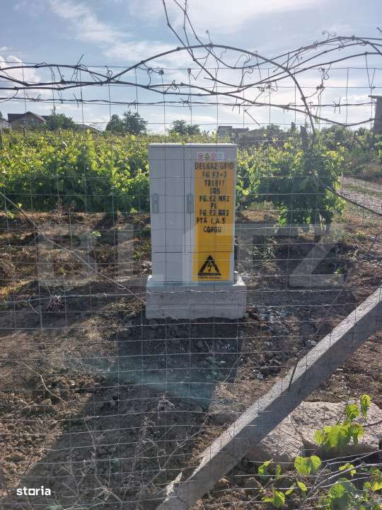 Teren intravilan 700 mp, Copou-Viticultori - Imagine principală: 3/4