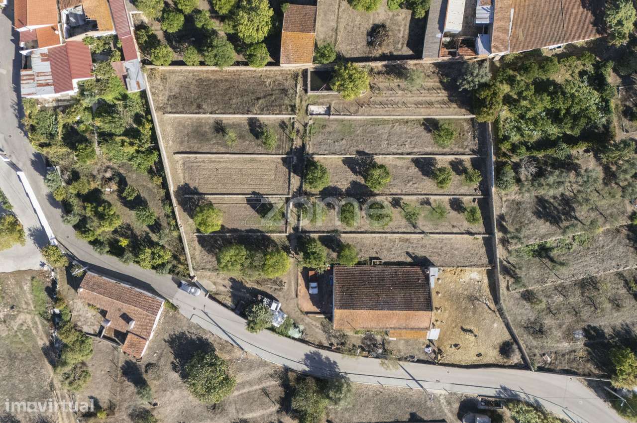 Lagar || Montalvo, Constância-25