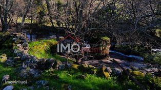 Terreno Rústico  Venda em Santo António das Areias,Marvão