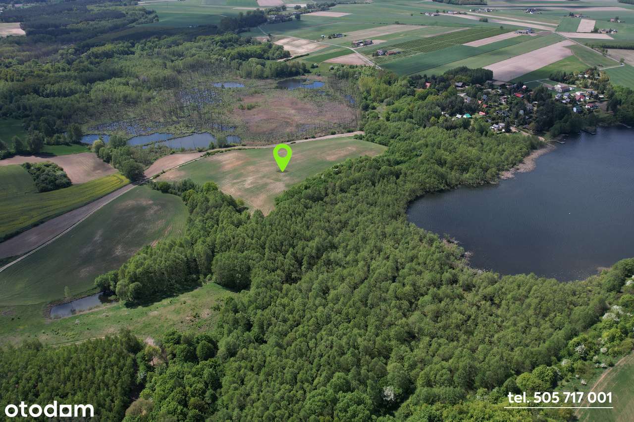 Działka na Kujawach z linią brzegową pod inwestycję rekreacyjną 6,2 ha - Pełny obrazek: 4/17
