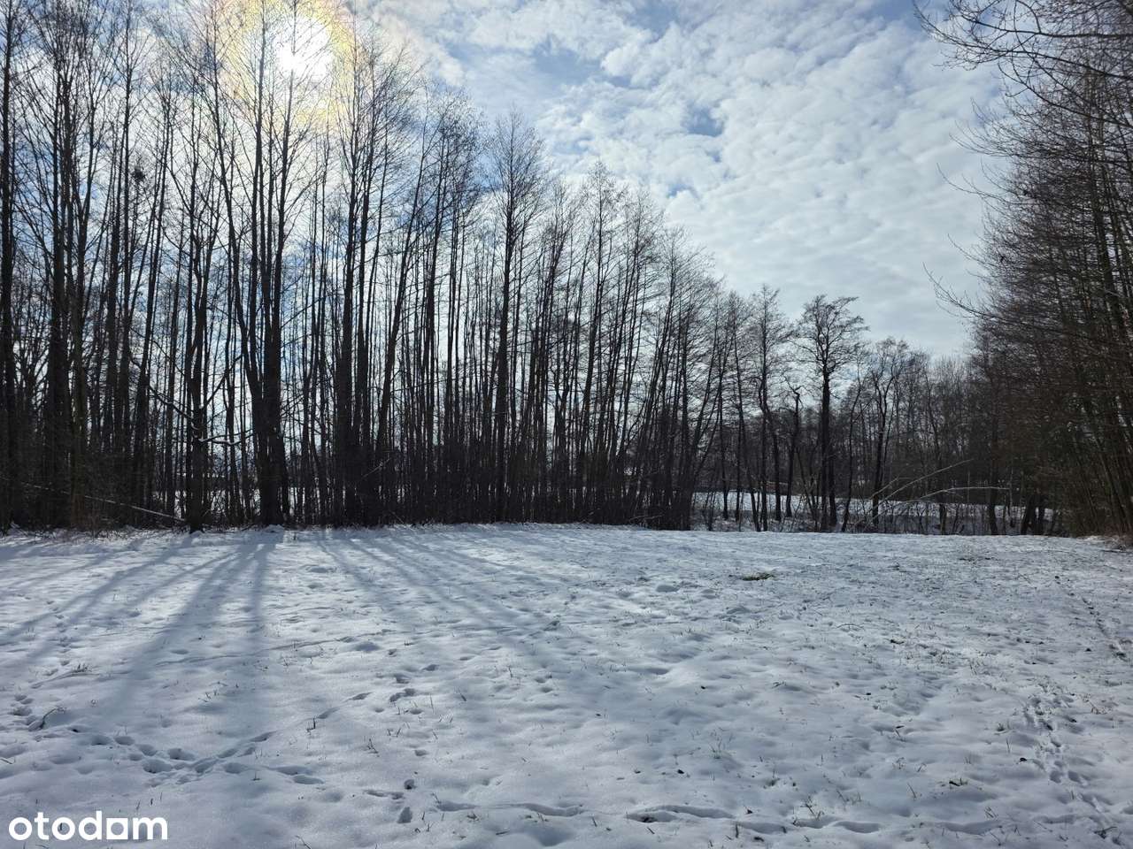 Działka 19 arów – idealna na rekreację | Wójtowa-3