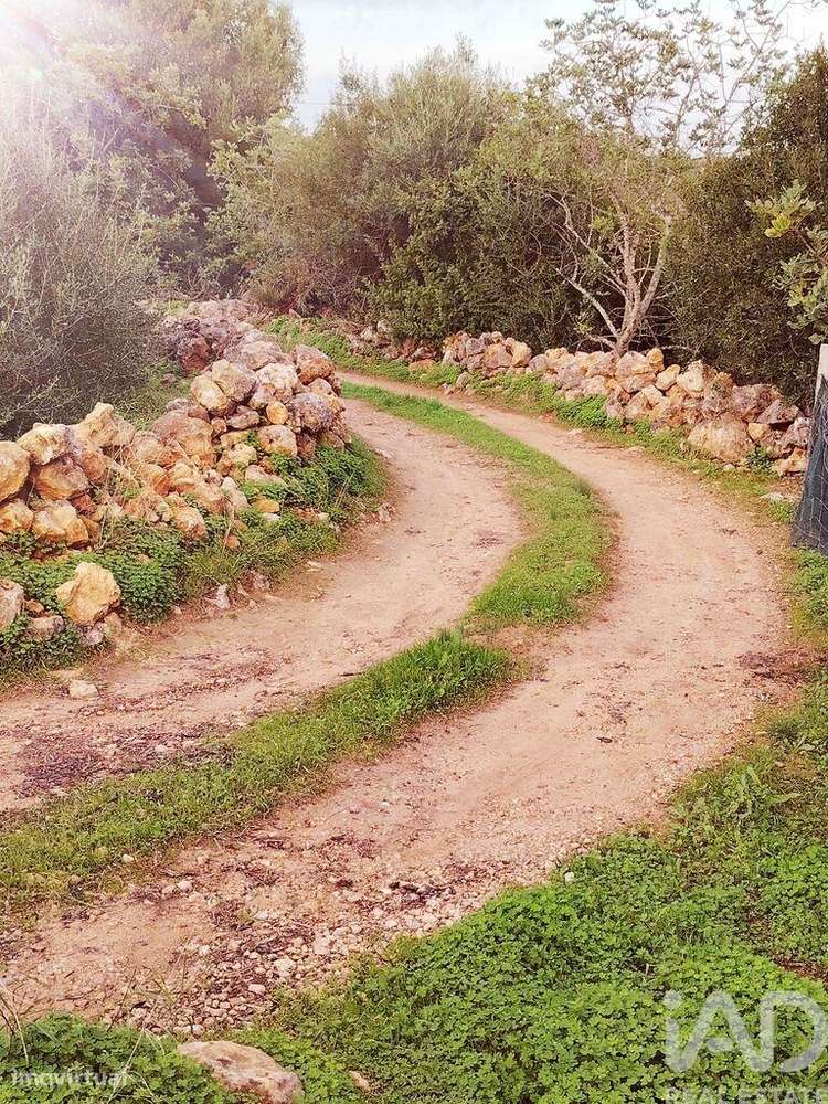 Terreno em Moncarapacho e Fuseta de 3080,00 m2 - Grande imagem: 2/8