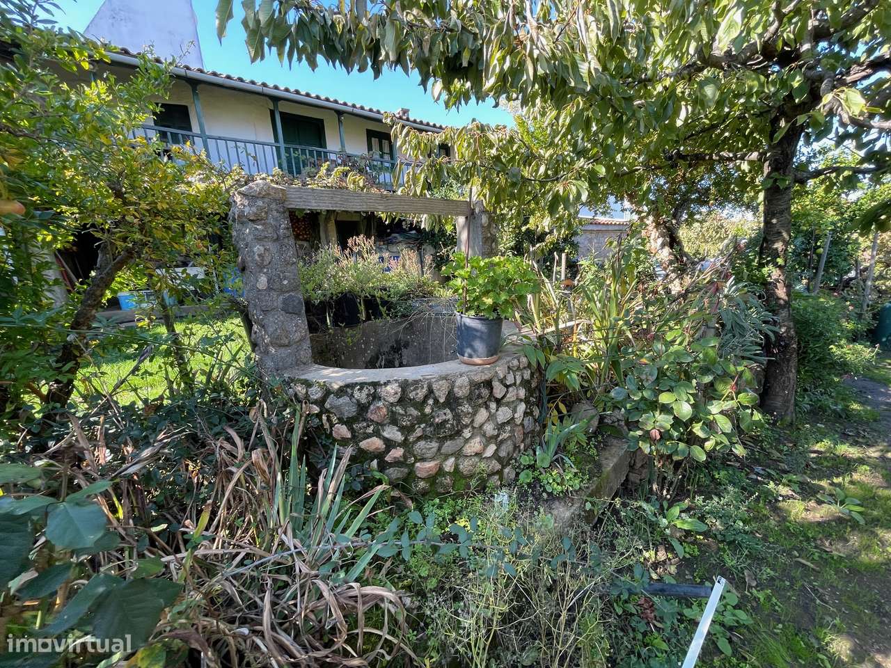 QUINTA EM MURÇA | CASA SENHORIAL | OPORTUNIDADE INVESTIMENTO-41