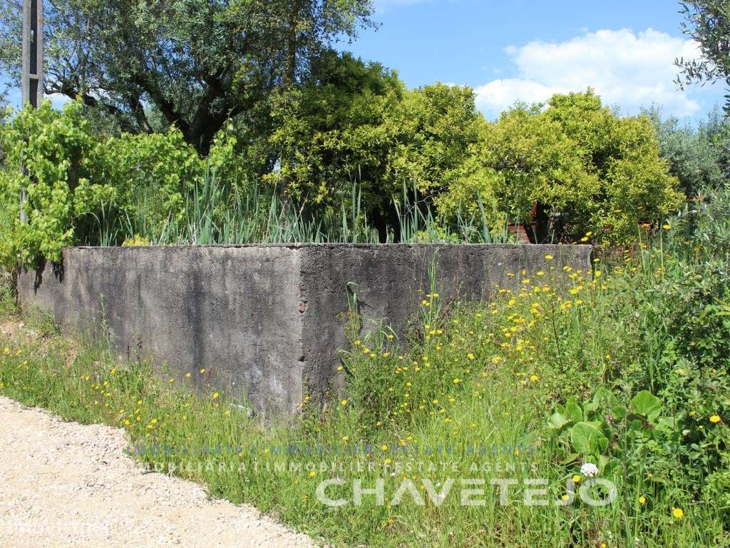 Oportunidade! Quinta com moradia, anexo e terreno próxima da Albufe...-34