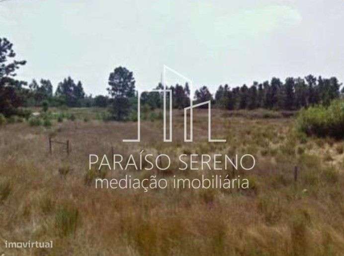 Terreno - Grande imagem: 5/8