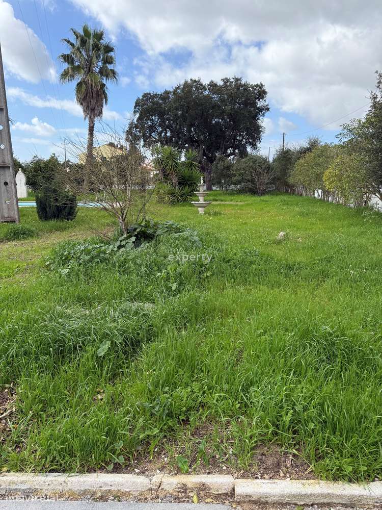 Moradia T3 com Piscina em Salvaterra de Magos, Santarém - Grande imagem: 4/24