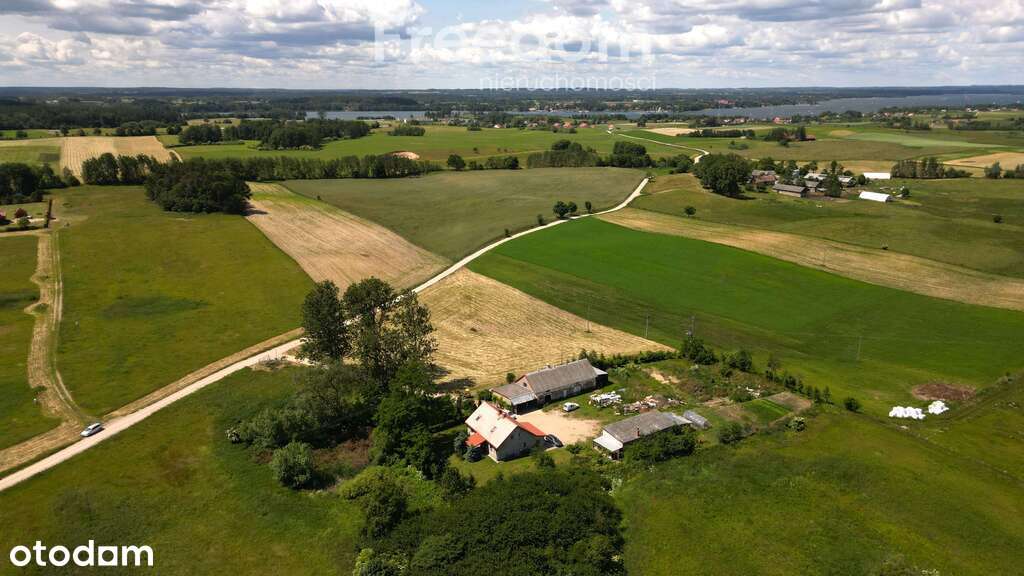 Działka Mazury Tałty / Mikołajki - Pełny obrazek: 5/8