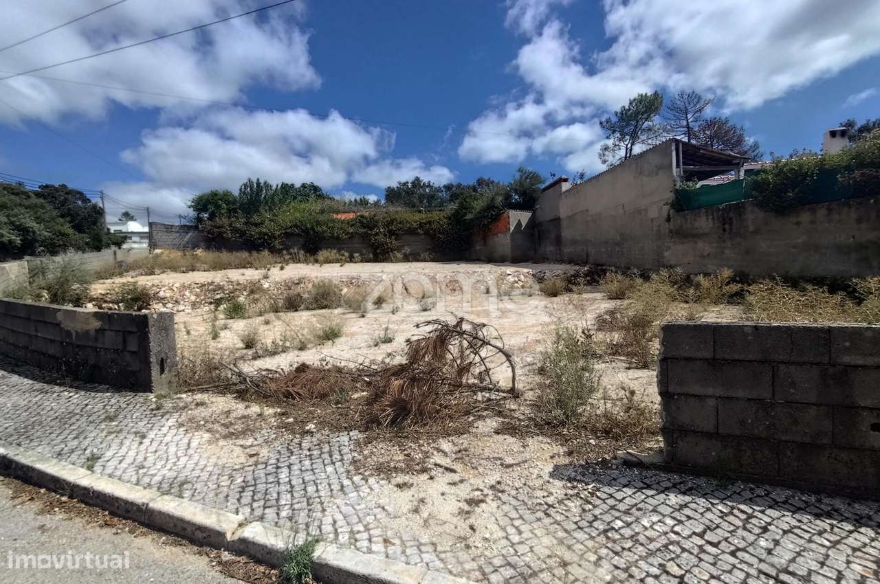 Dois lotes de terreno para construção em Mira de Aire, Porto de Mós-6
