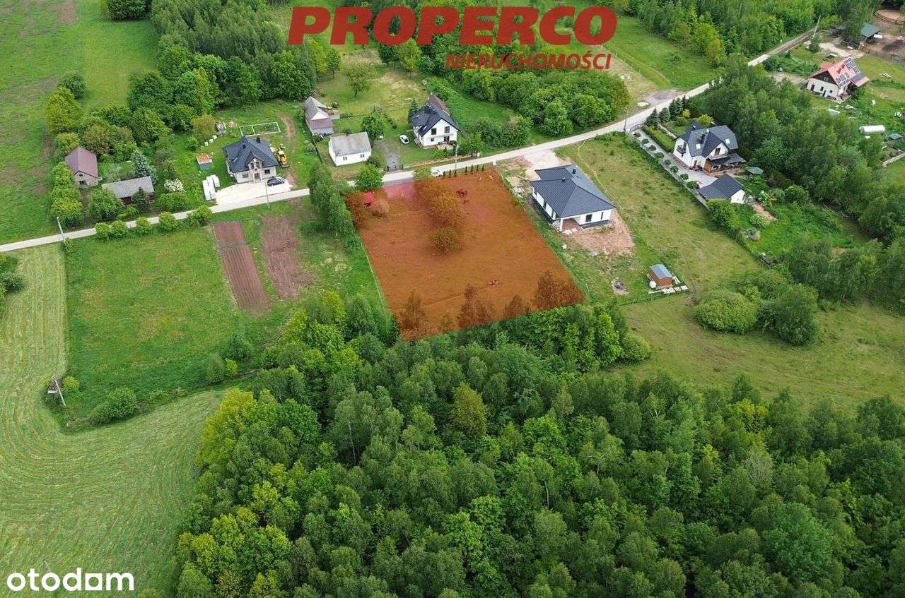 Działka 3029m2 Mniów, 45x67(m), las obok - Pełny obrazek: 5/8